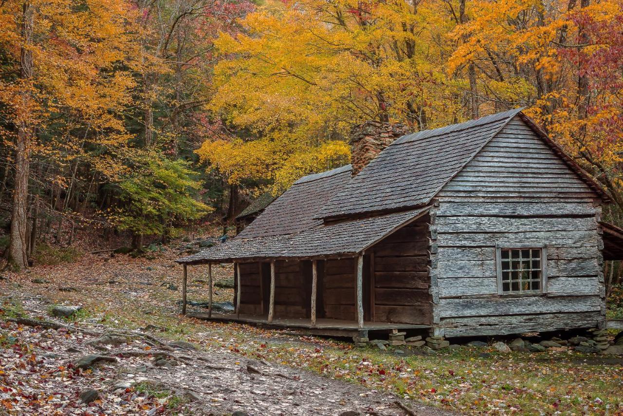 Love Shack Sevierville Exteriér fotografie