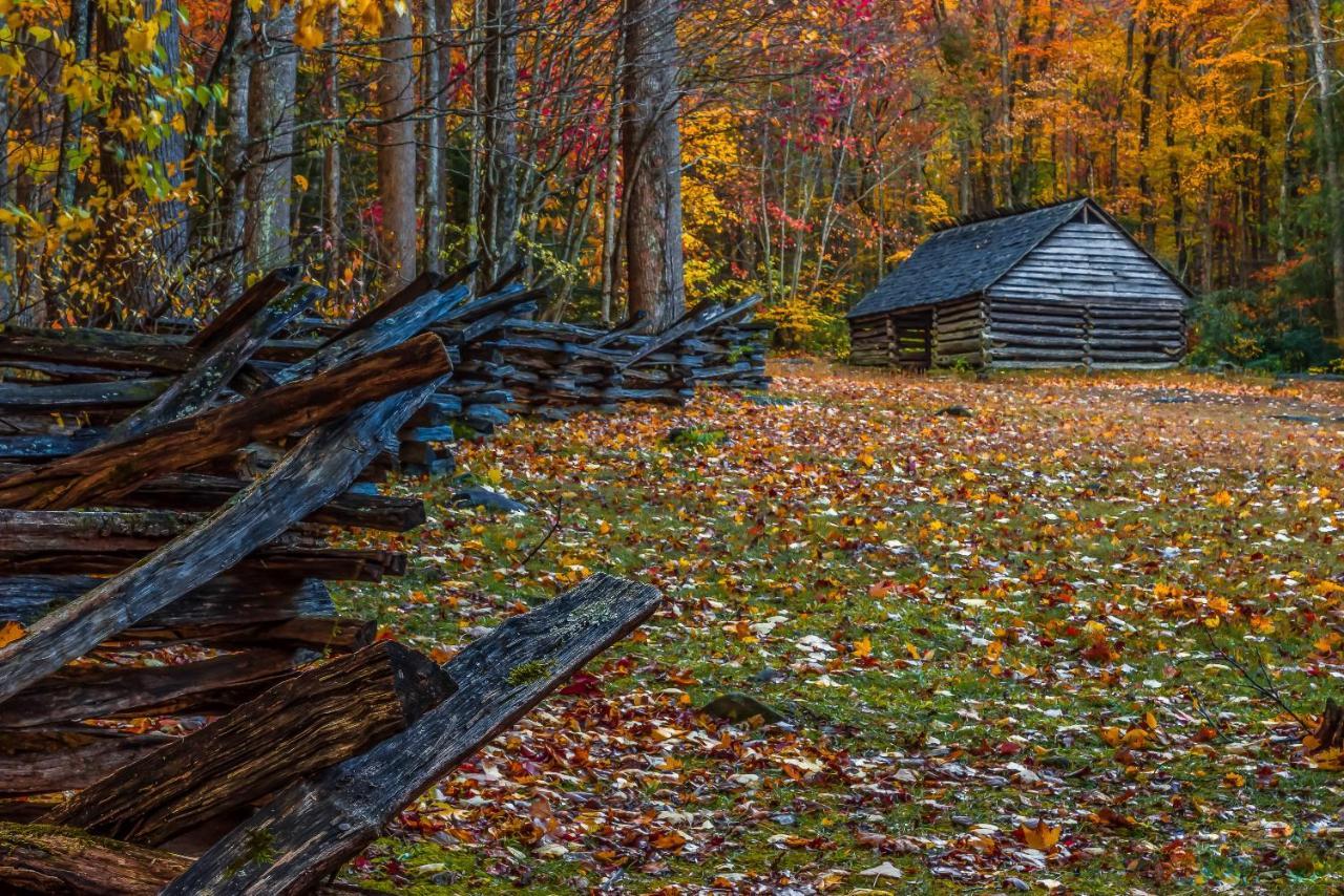 Love Shack Sevierville Exteriér fotografie
